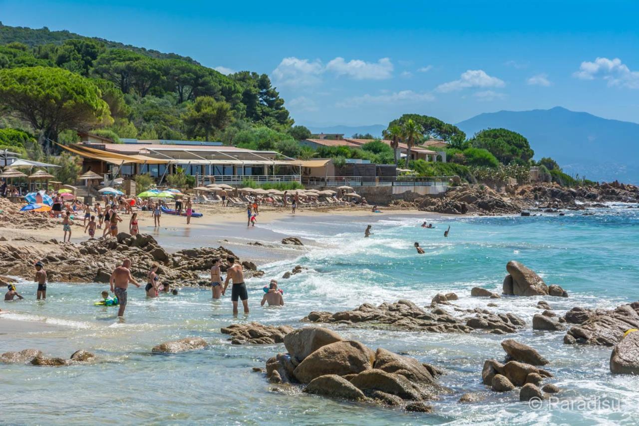 Studio Rue Pietonne Ajaccio Ajaccio  Bagian luar foto